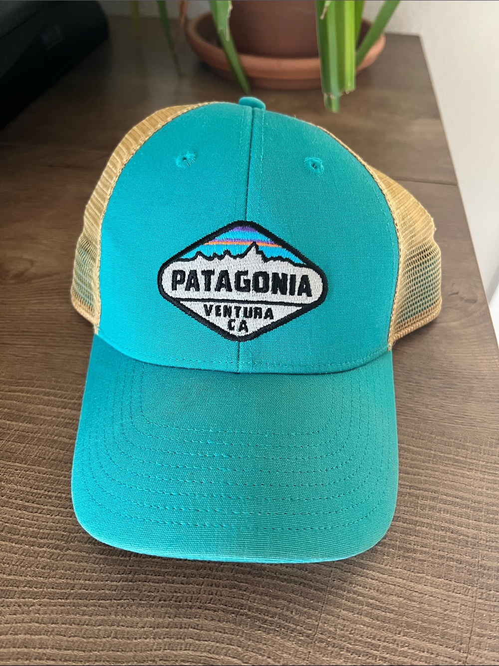 Patagonia Teal Front with Tan Mesh Trucker Hat